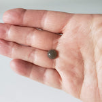  Aventurine | Round Cabochon | Gray | 9.7mm 3.6ct 4