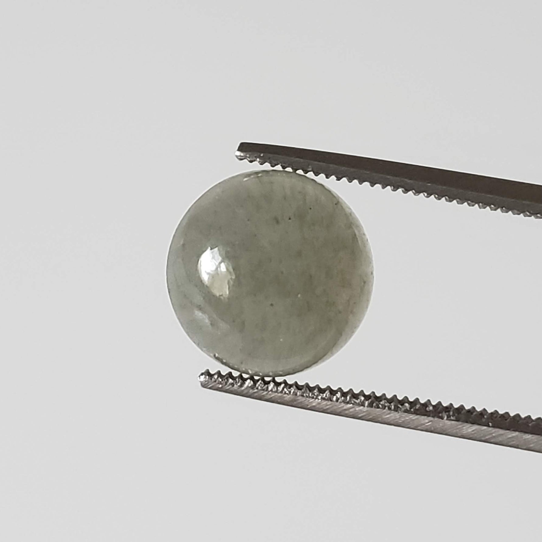  Aventurine | Round Cabochon | Gray | 9.7mm 3.6ct 