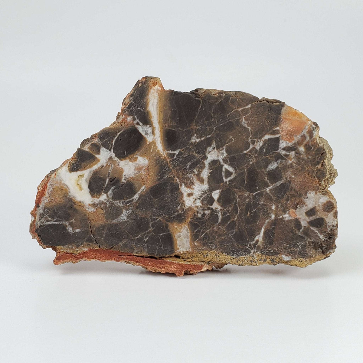  Azuara Impact Breccia | 170.9 Grams | Rubielos de la Cerida Impact Structure, Spain | SO24 