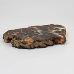  Azuara Impact Breccia | 170.9 Grams | Rubielos de la Cerida Impact Structure, Spain | SO24 2