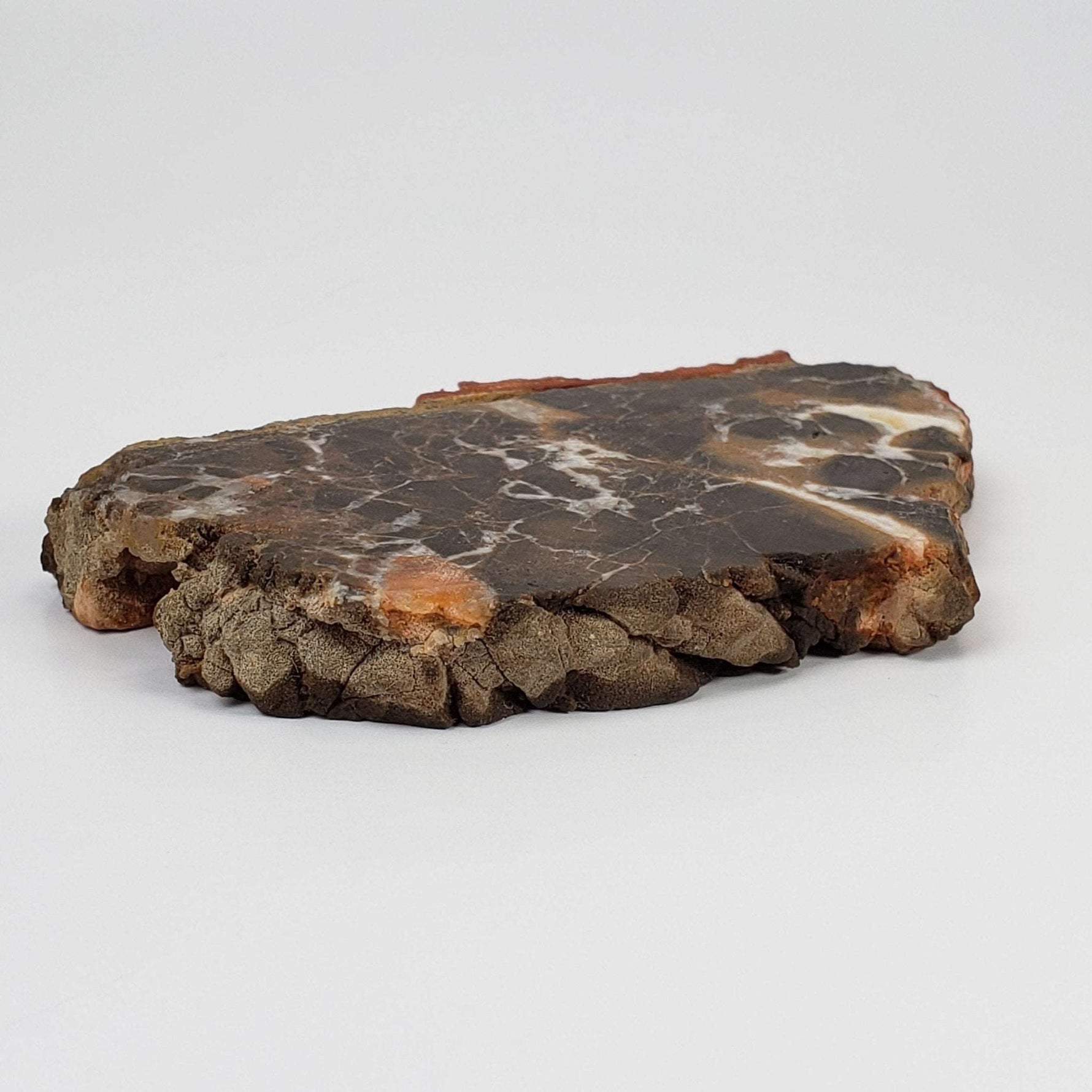  Azuara Impact Breccia | 170.9 Grams | Rubielos de la Cerida Impact Structure, Spain | SO24 2
