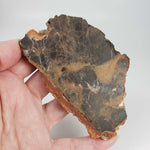  Azuara Impact Breccia | 170.9 Grams | Rubielos de la Cerida Impact Structure, Spain | SO24 4