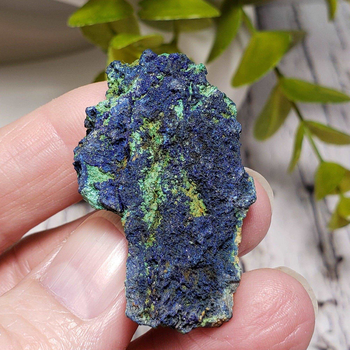  Azurite and Malachite Crystal | 24.7g | Bou Beker, Morocco | SO24 2