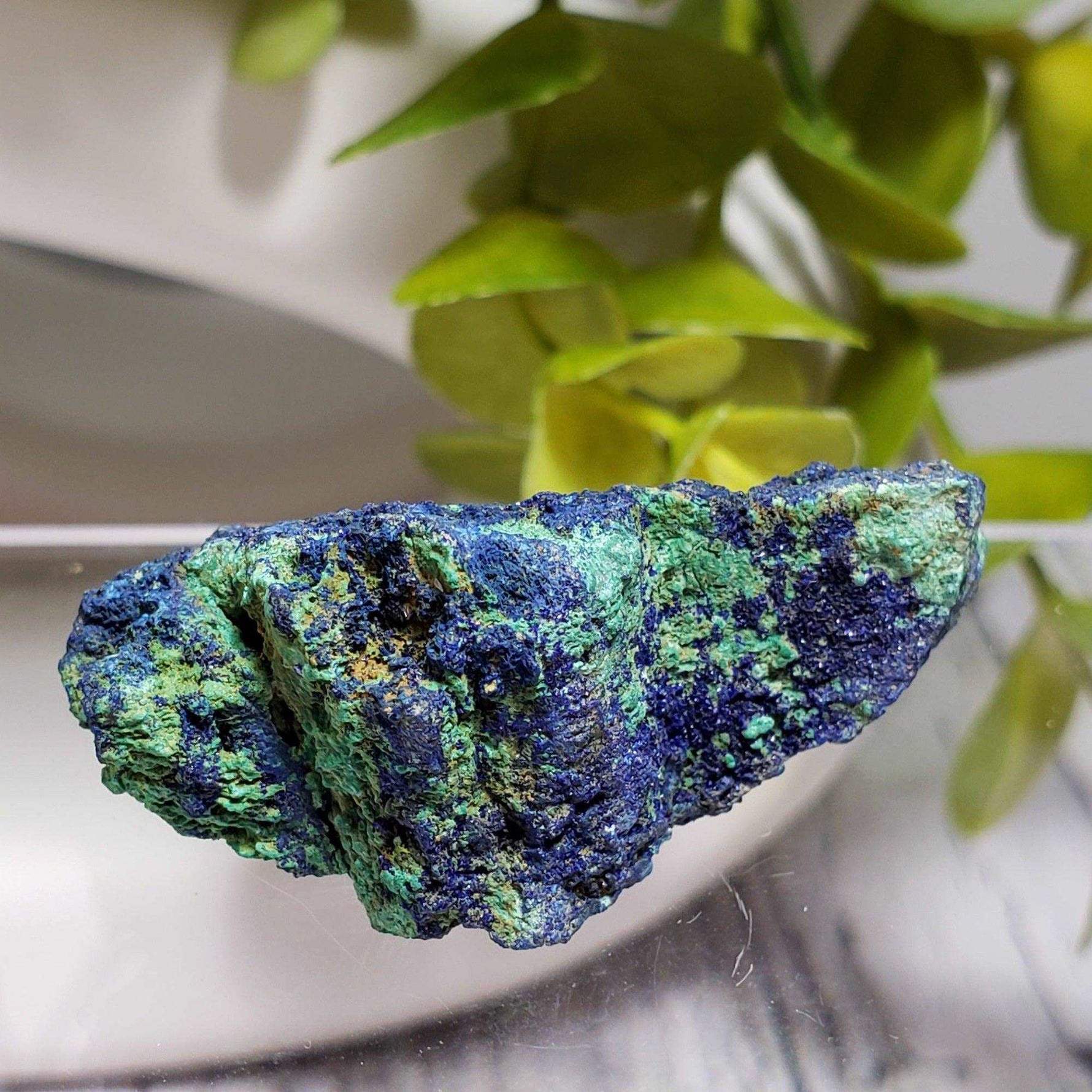  Azurite and Malachite Crystal | 24.7g | Bou Beker, Morocco | SO24 6