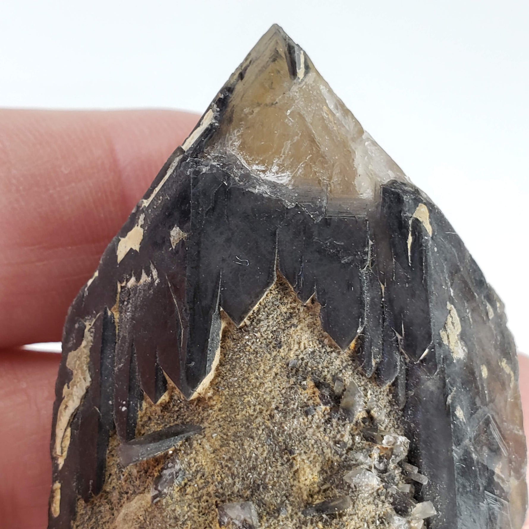  Barite Crystal | 51.31 gr | Müschede, Sauerland | Germany 4