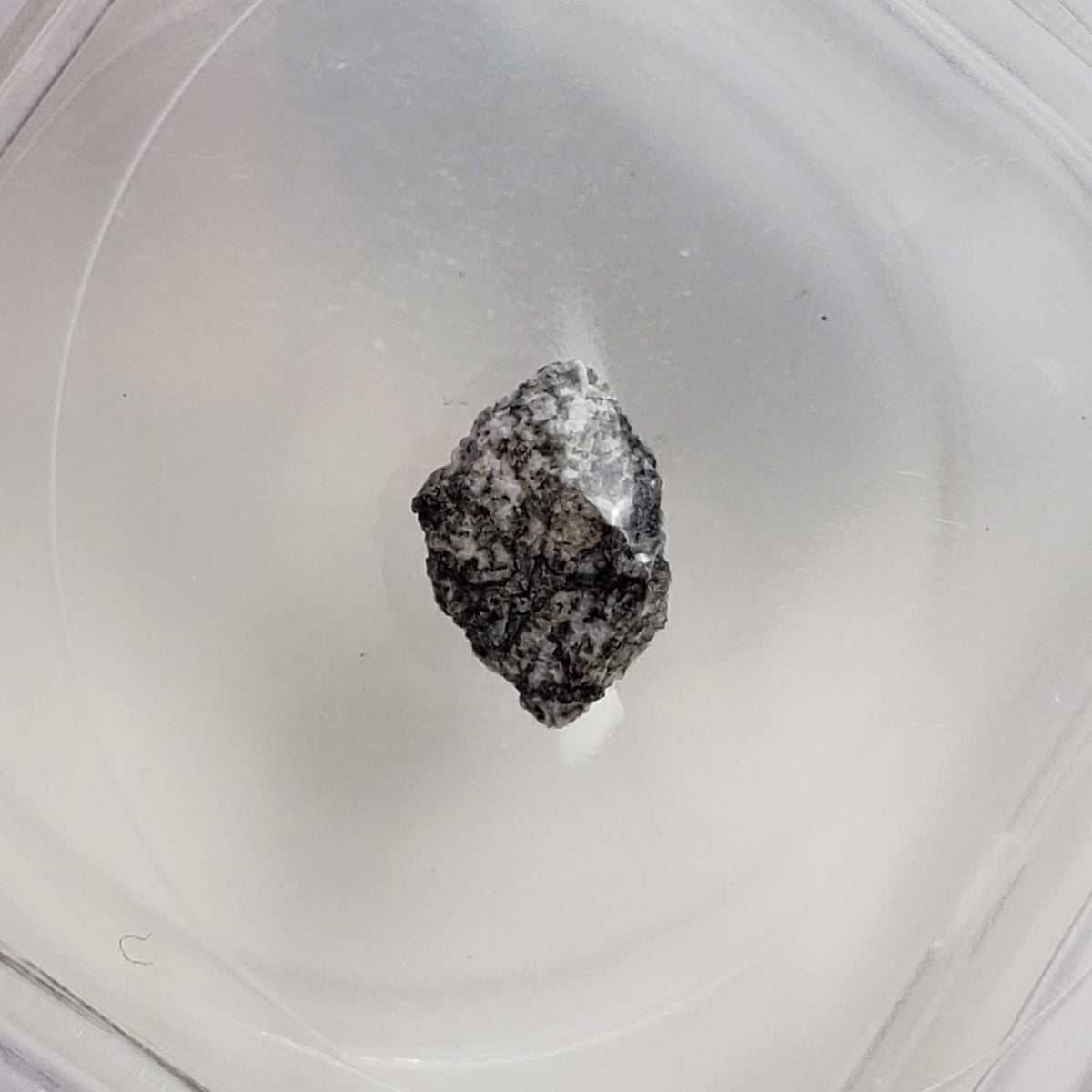 Bereba Meteorite | .19 Grams | Fragment | Eucrite | 1924 Rare Observed fall | Burkina Faso 0
