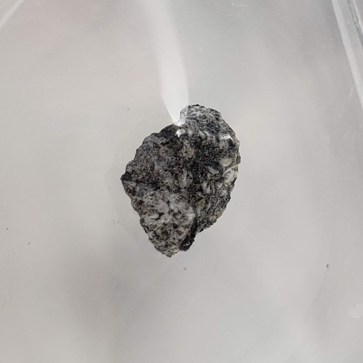 Bereba Meteorite | .19 Grams | Fragment | Eucrite | 1924 Rare Observed fall | Burkina Faso 1