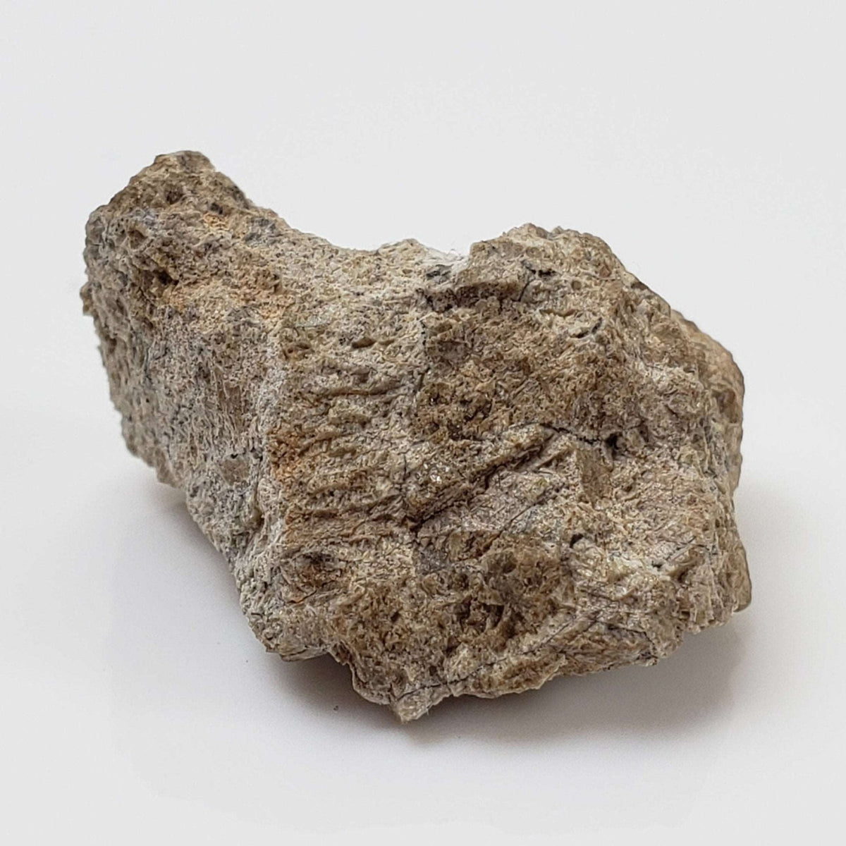  Bilanga Meteorite | 4.68 Gram | Individual | Diogenite | 1999 Rare Observed fall 2