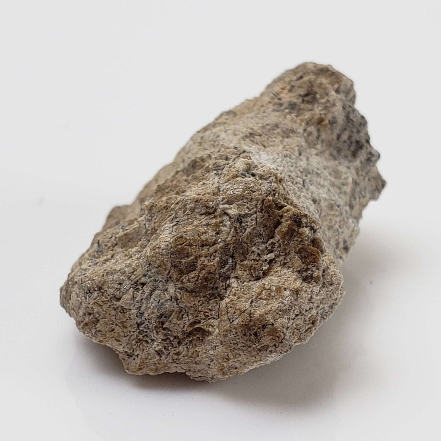  Bilanga Meteorite | 4.68 Gram | Individual | Diogenite | 1999 Rare Observed fall 3