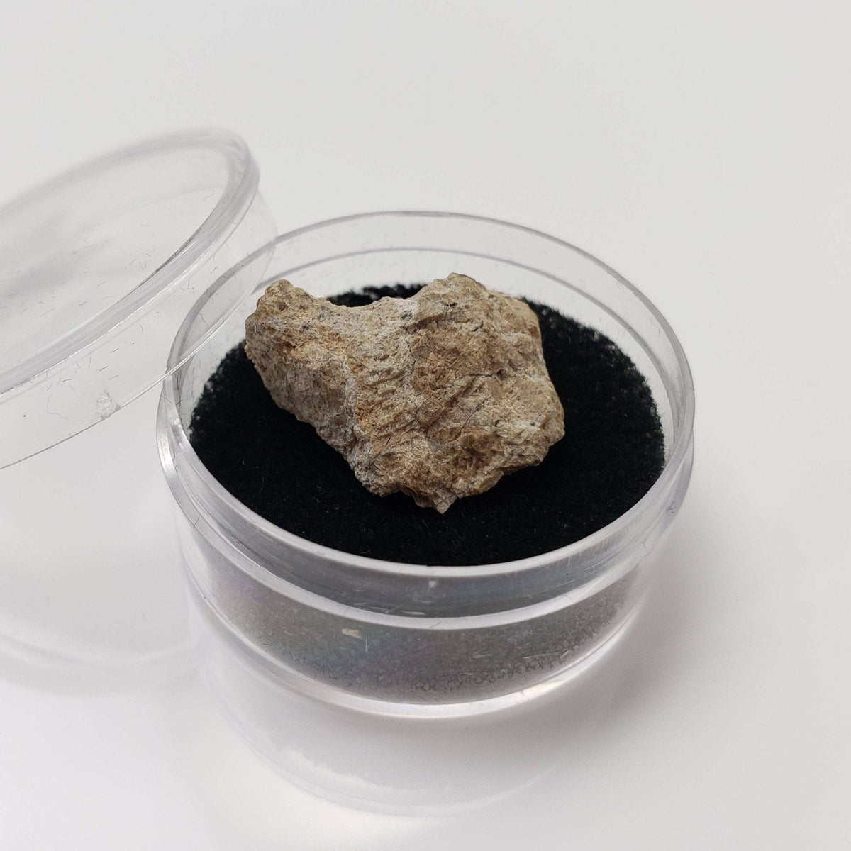  Bilanga Meteorite | 4.68 Gram | Individual | Diogenite | 1999 Rare Observed fall 7