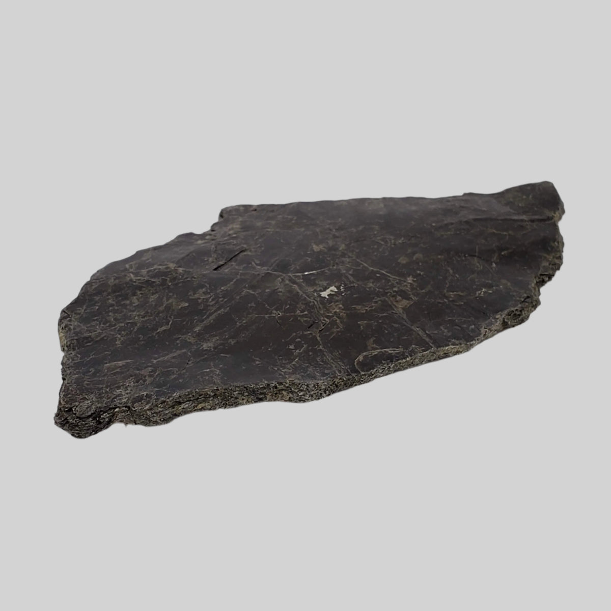  Biotite Mica Book | Black Crystal | 39 Grams | Ontario, Canada 4