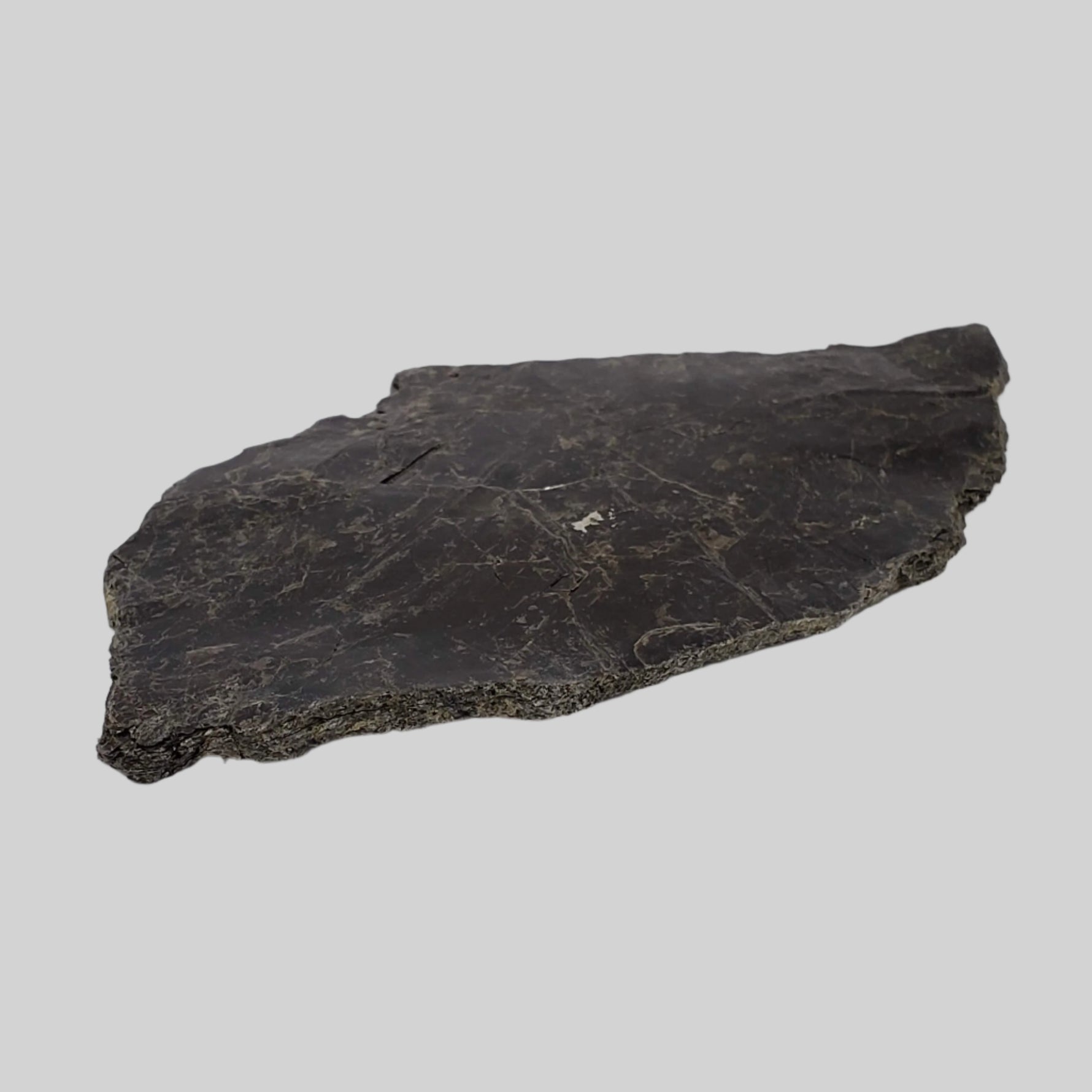  Biotite Mica Book | Black Crystal | 39 Grams | Ontario, Canada 4