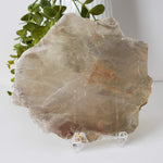  Biotite Mica Book | Gold Crystal | 82.5 Grams | New Hampshire, USA | SO24 