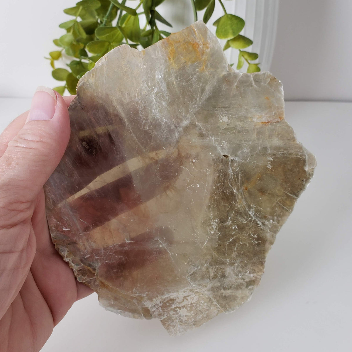  Biotite Mica Book | Gold Crystal | 82.5 Grams | New Hampshire, USA | SO24 1
