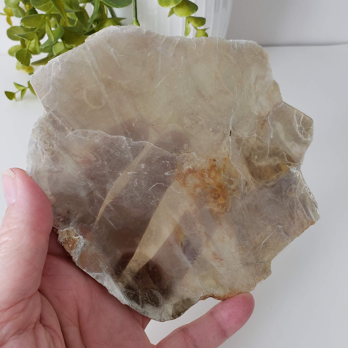 Biotite Mica Book | Gold Crystal | 82.5 Grams | New Hampshire, USA | SO24 3