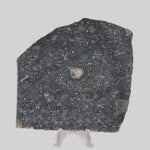  Black Onaping | 191 Grams | Impactite Breccia Slice | Sudbury Structure, Canada 