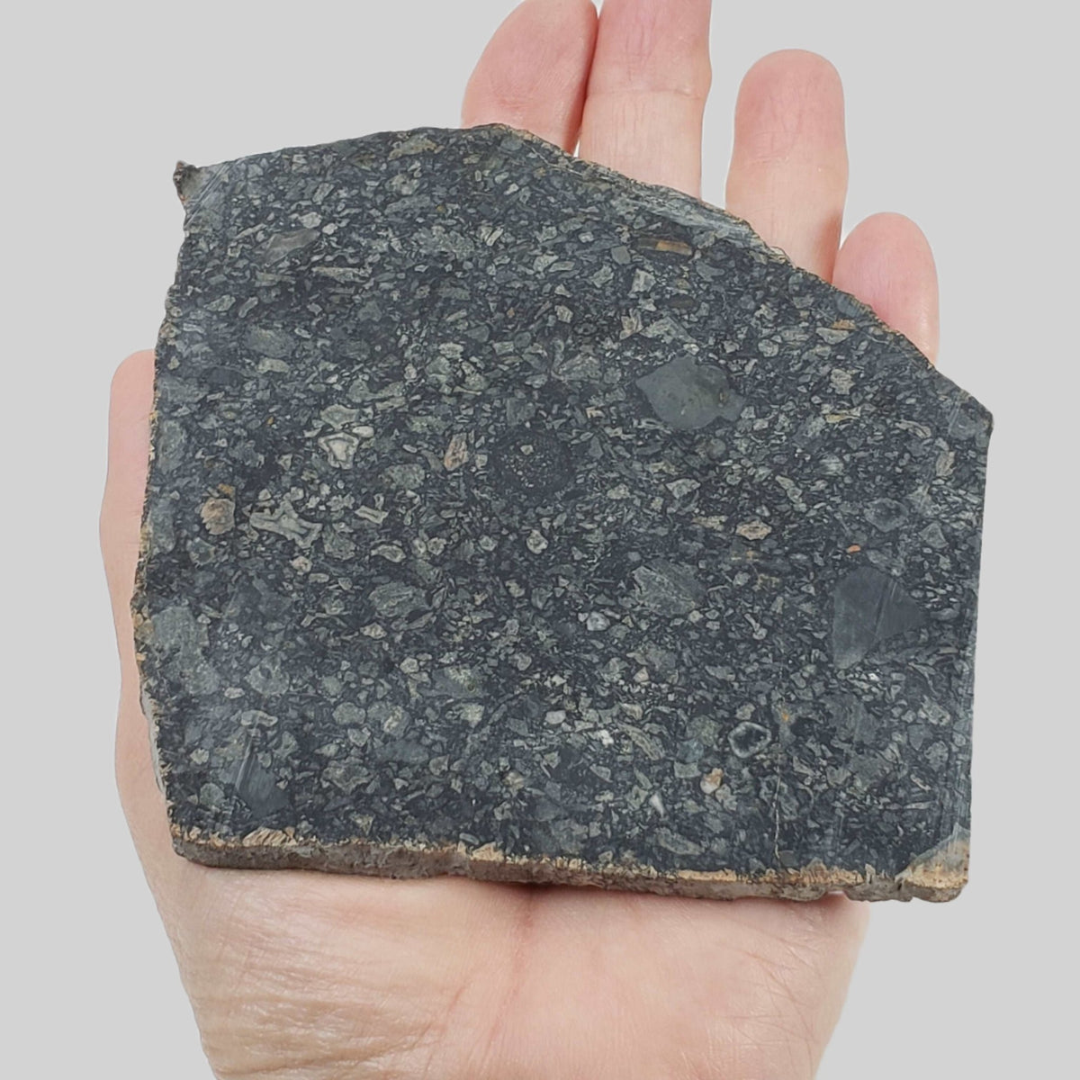  Black Onaping | 191 Grams | Impactite Breccia Slice | Sudbury Structure, Canada 3