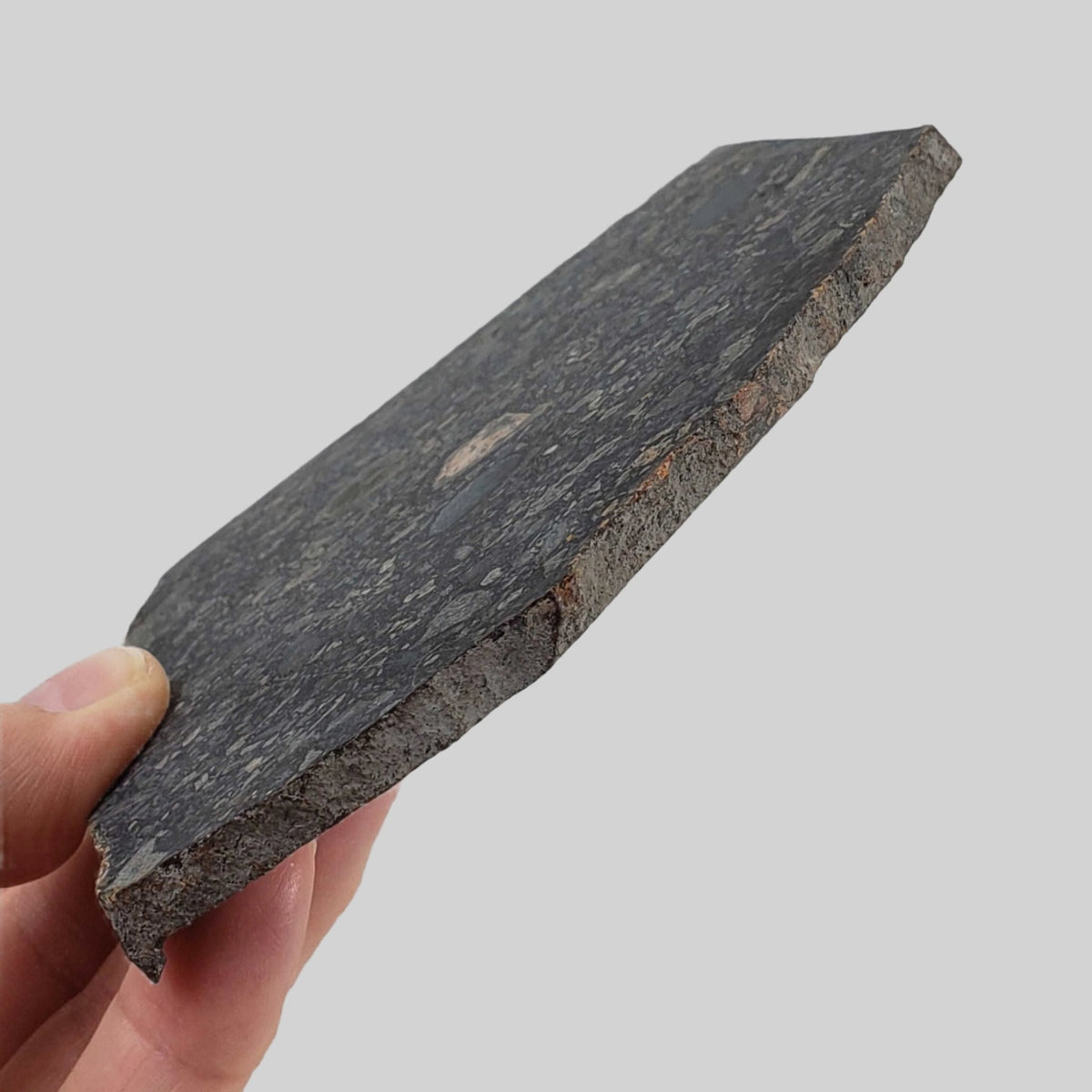  Black Onaping | 191 Grams | Impactite Breccia Slice | Sudbury Structure, Canada 5