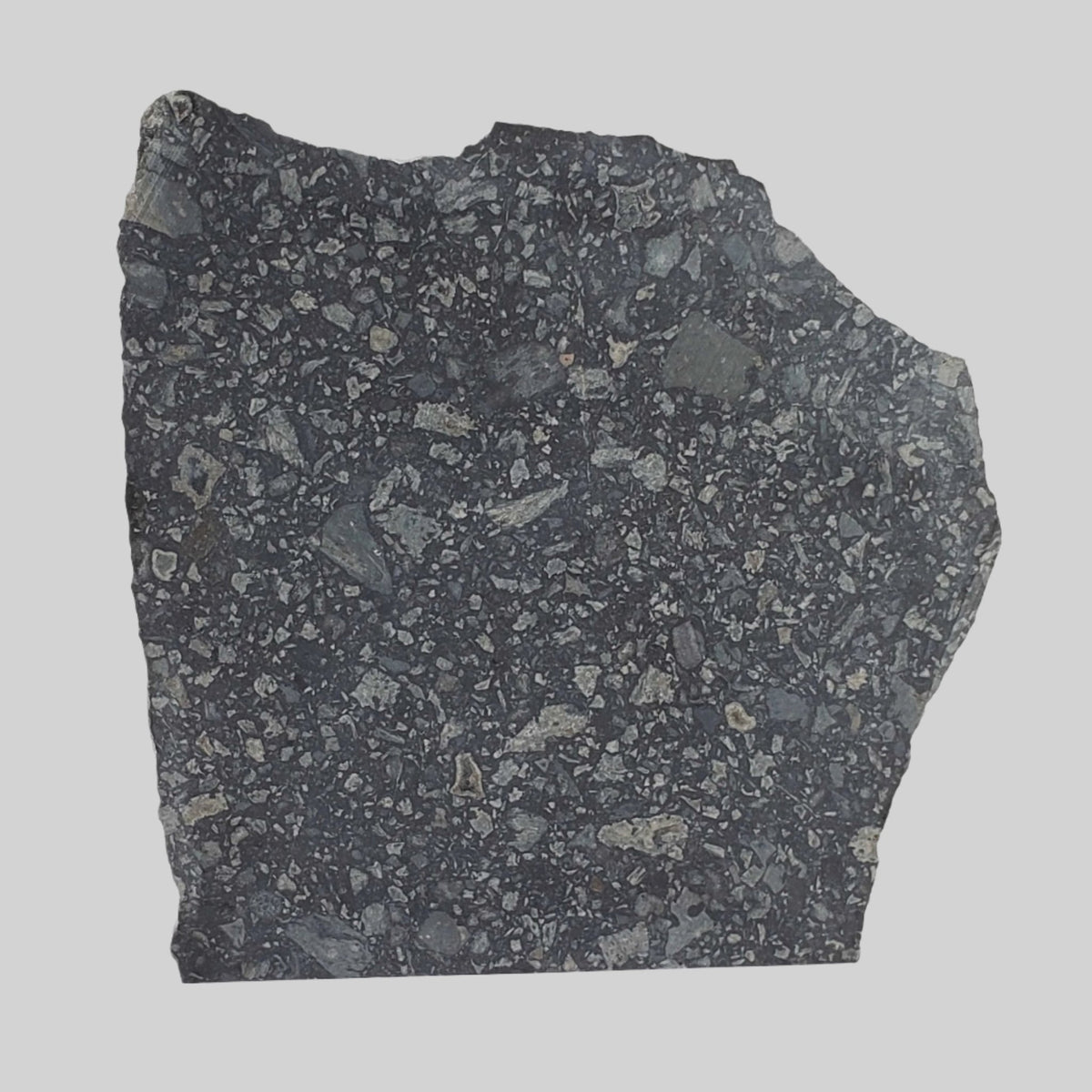  Black Onaping | 217 Grams | Impactite Breccia Slice | Sudbury Structure, Canada 