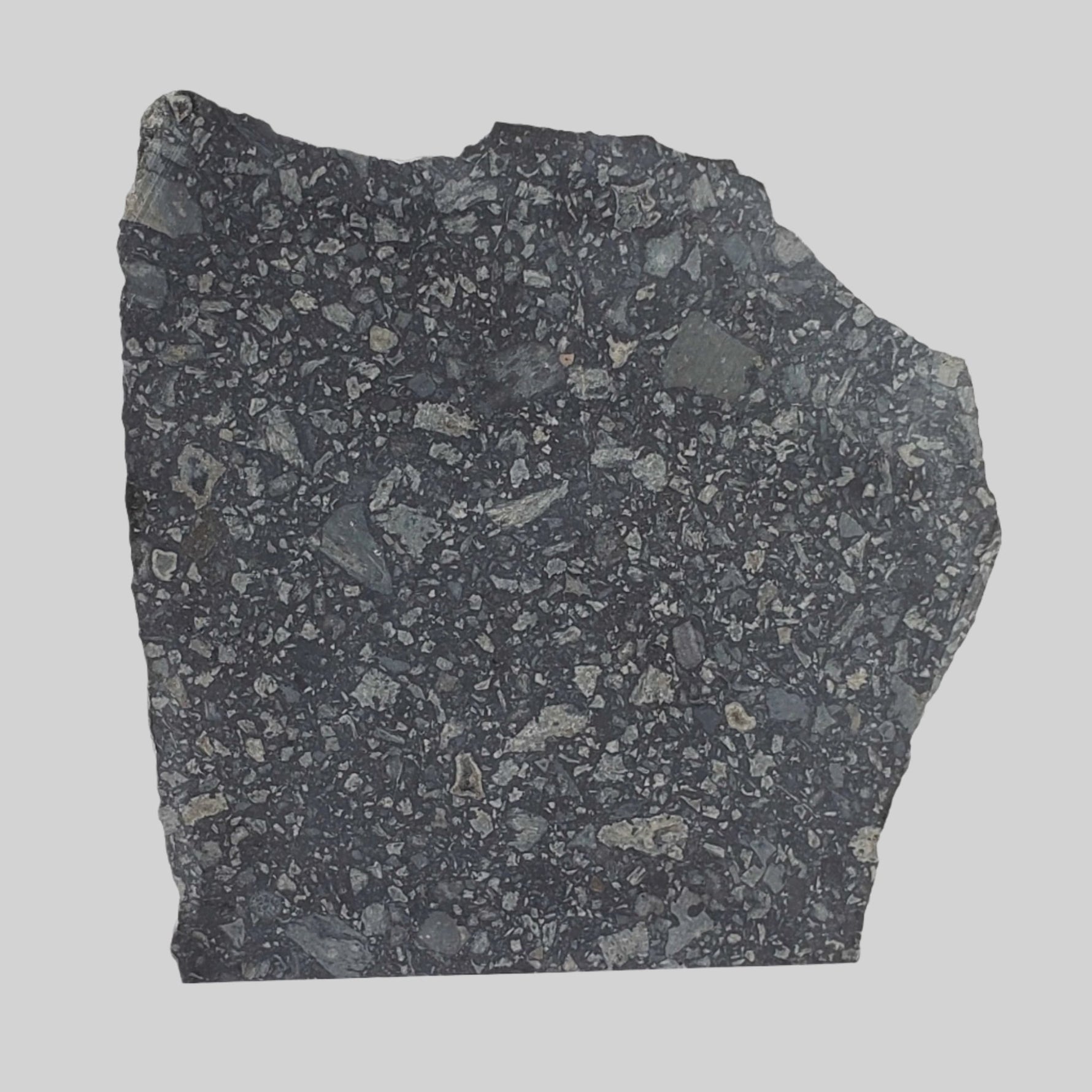  Black Onaping | 217 Grams | Impactite Breccia Slice | Sudbury Structure, Canada 