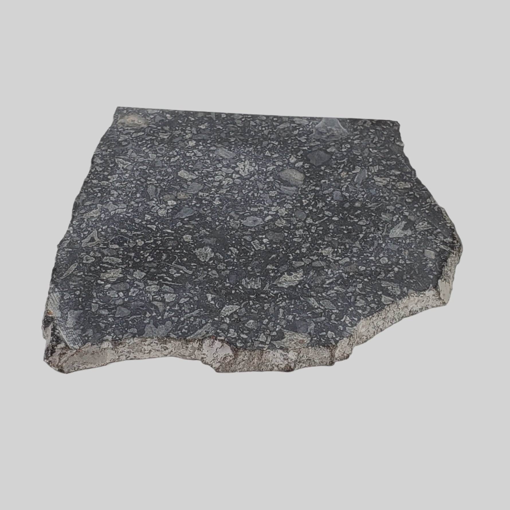  Black Onaping | 217 Grams | Impactite Breccia Slice | Sudbury Structure, Canada 3