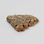  Boltysh Impactite | 4.71 Grams | Slice | Bovtyshka, Ukraine 5