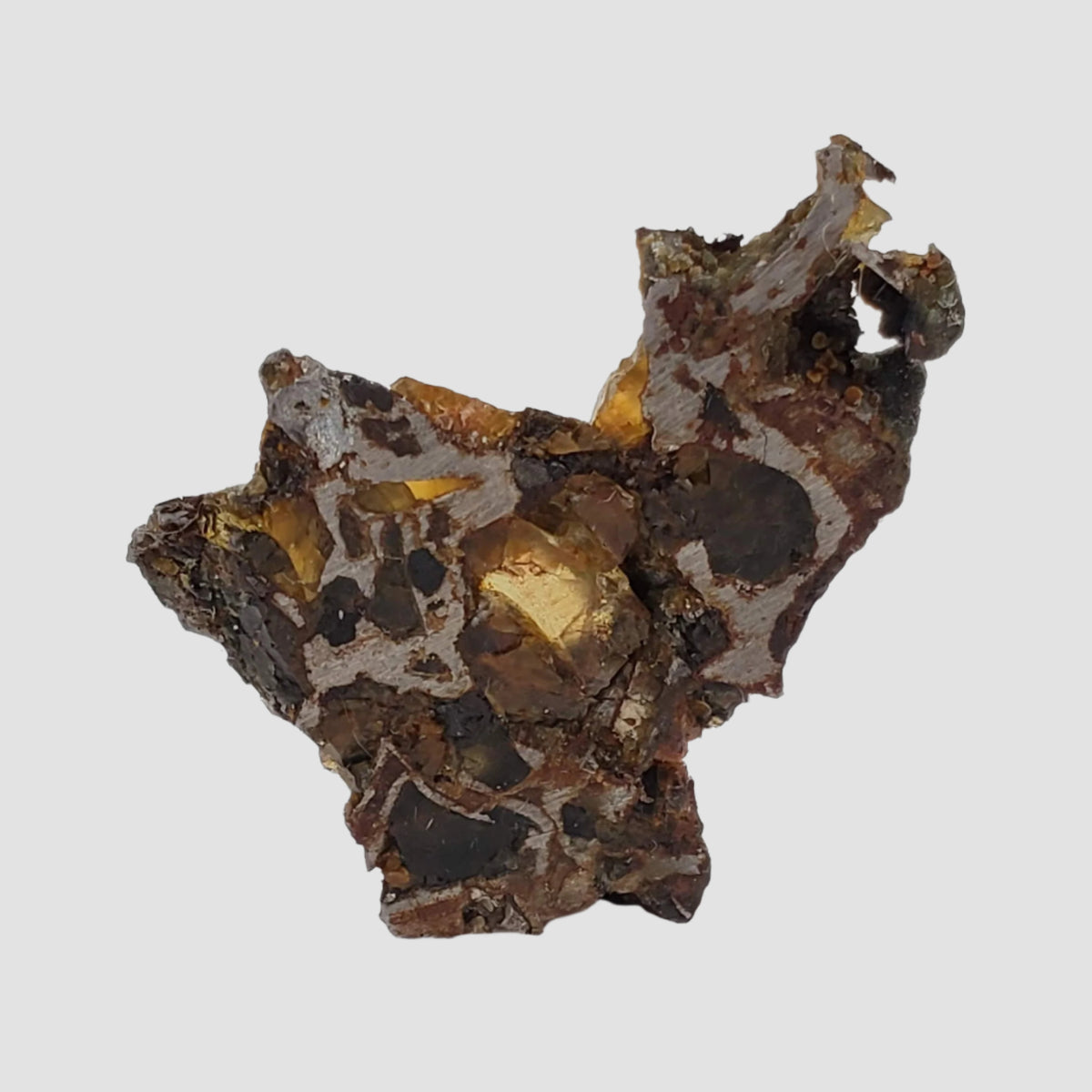  Brahin Meteorite | 4.26 Grams | Part Slice | Pallasite Stony Iron | Rare | Belarus 4