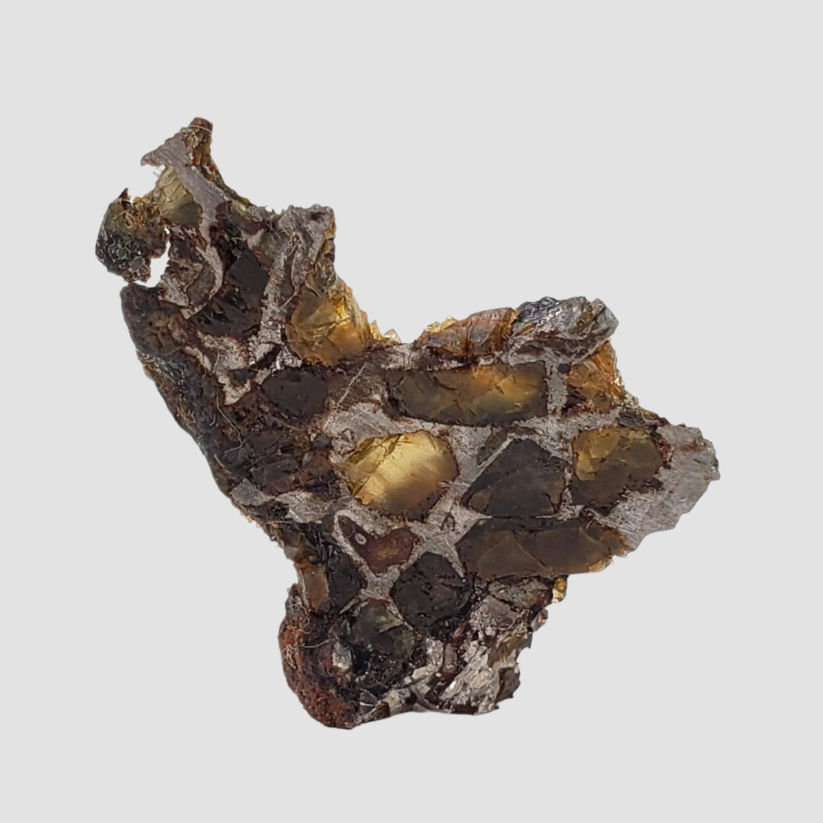  Brahin Meteorite | 4.26 Grams | Part Slice | Pallasite Stony Iron | Rare | Belarus 5