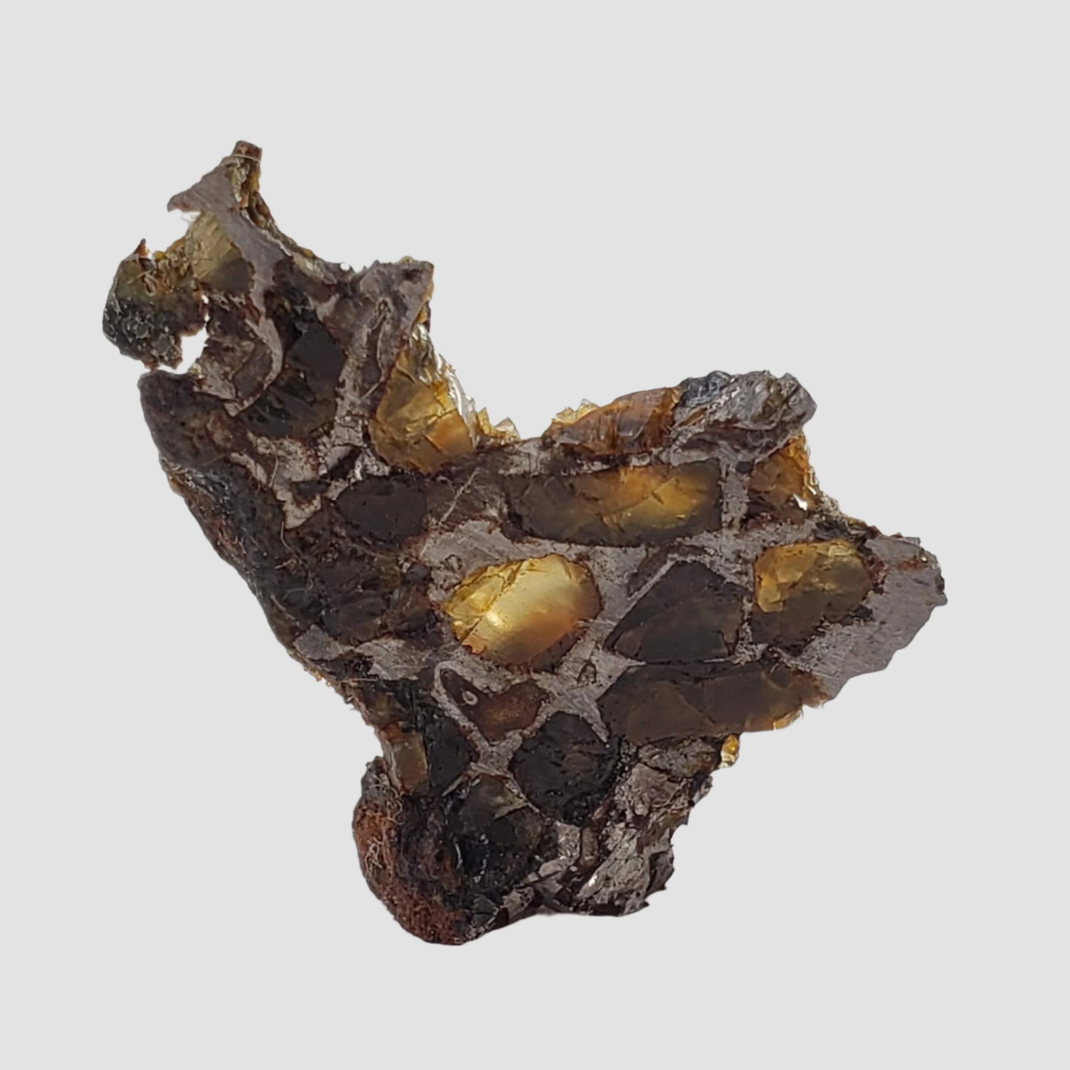  Brahin Meteorite | 4.26 Grams | Part Slice | Pallasite Stony Iron | Rare | Belarus 1