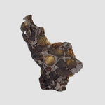  Brahin Meteorite | 4.26 Grams | Part Slice | Pallasite Stony Iron | Rare | Belarus 2