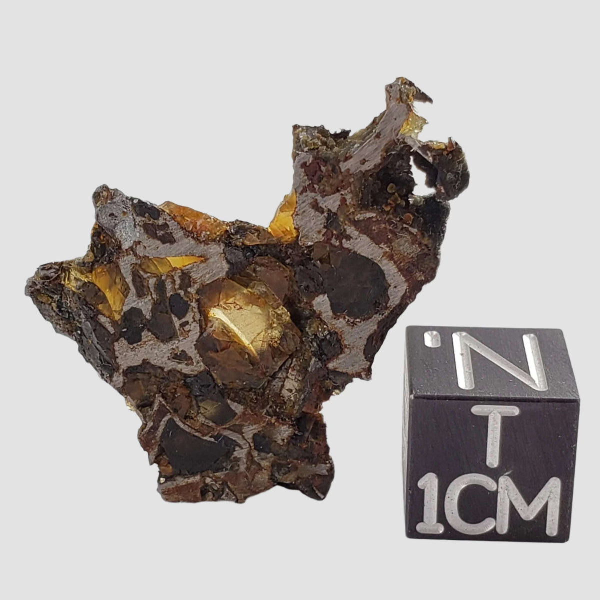  Brahin Meteorite | 4.26 Grams | Part Slice | Pallasite Stony Iron | Rare | Belarus 