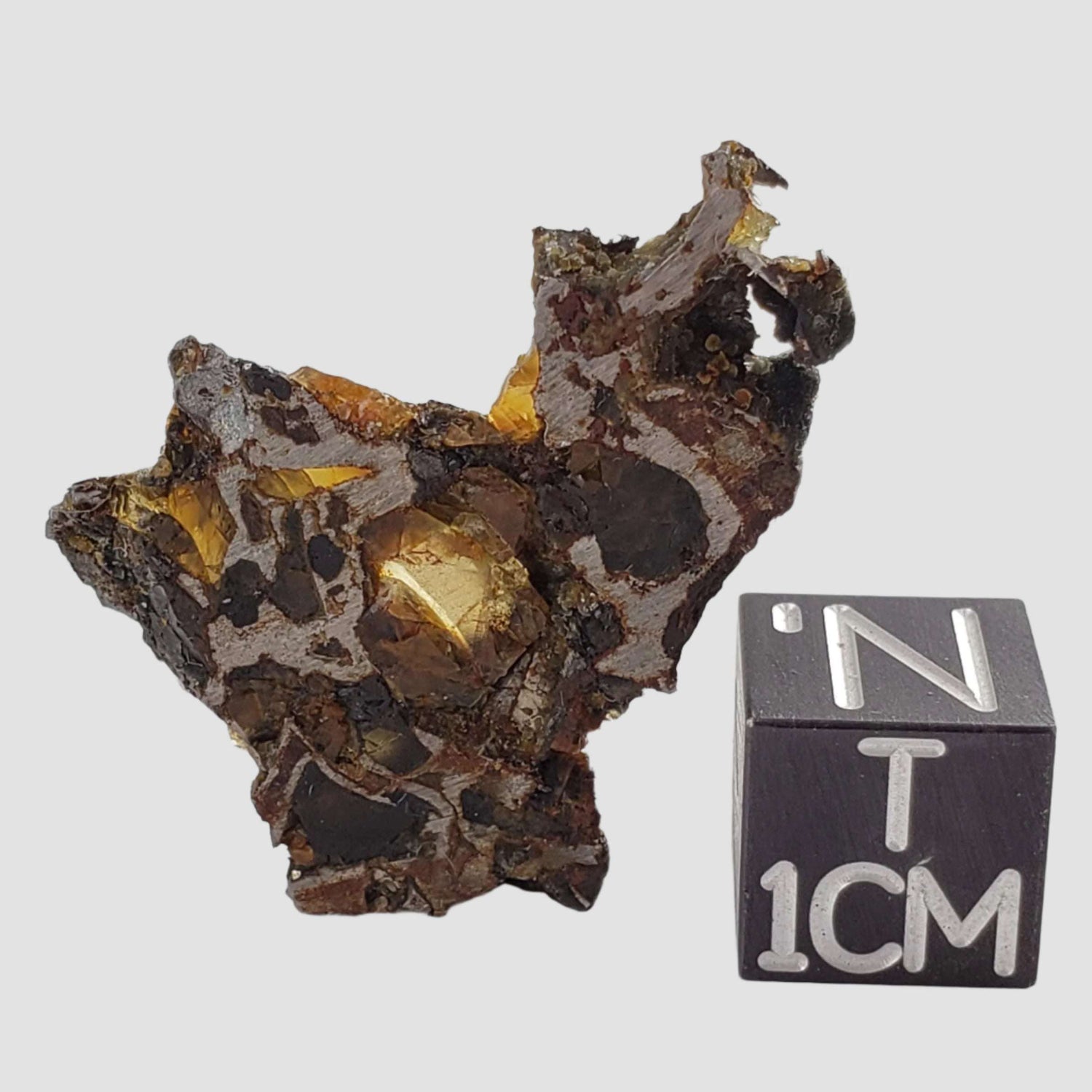  Brahin Meteorite | 4.26 Grams | Part Slice | Pallasite Stony Iron | Rare | Belarus 