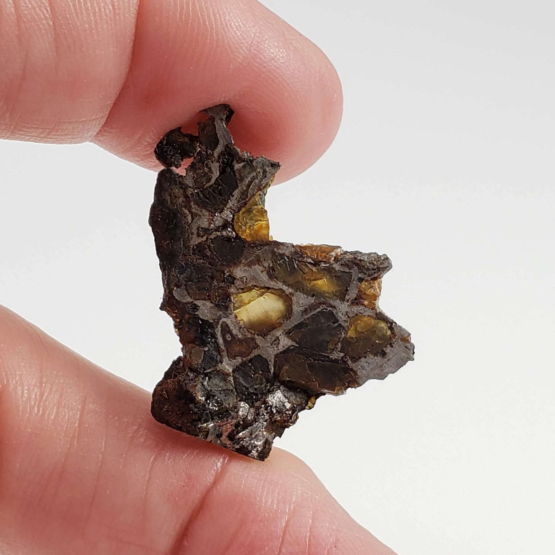  Brahin Meteorite | 4.26 Grams | Part Slice | Pallasite Stony Iron | Rare | Belarus 6
