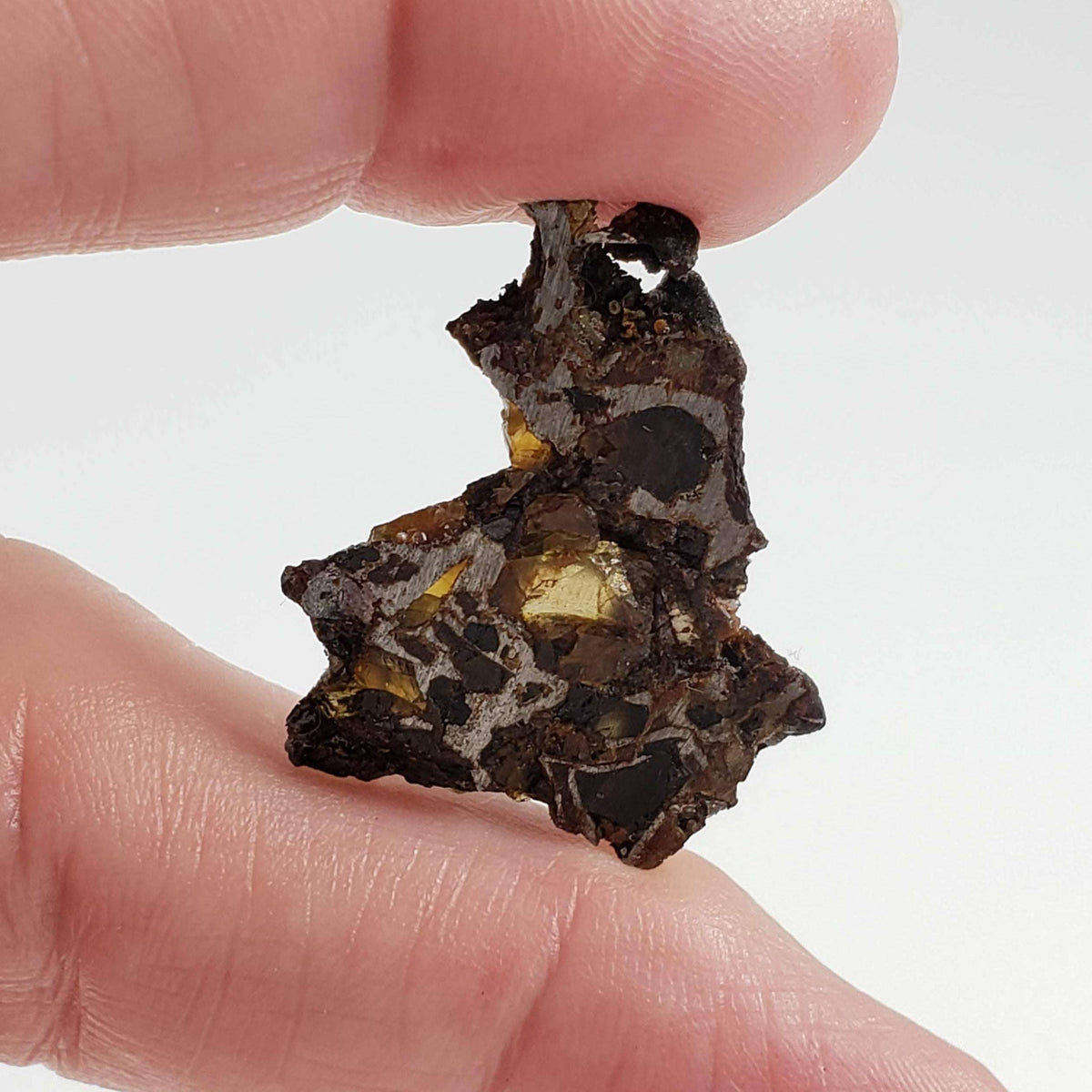  Brahin Meteorite | 4.26 Grams | Part Slice | Pallasite Stony Iron | Rare | Belarus 7