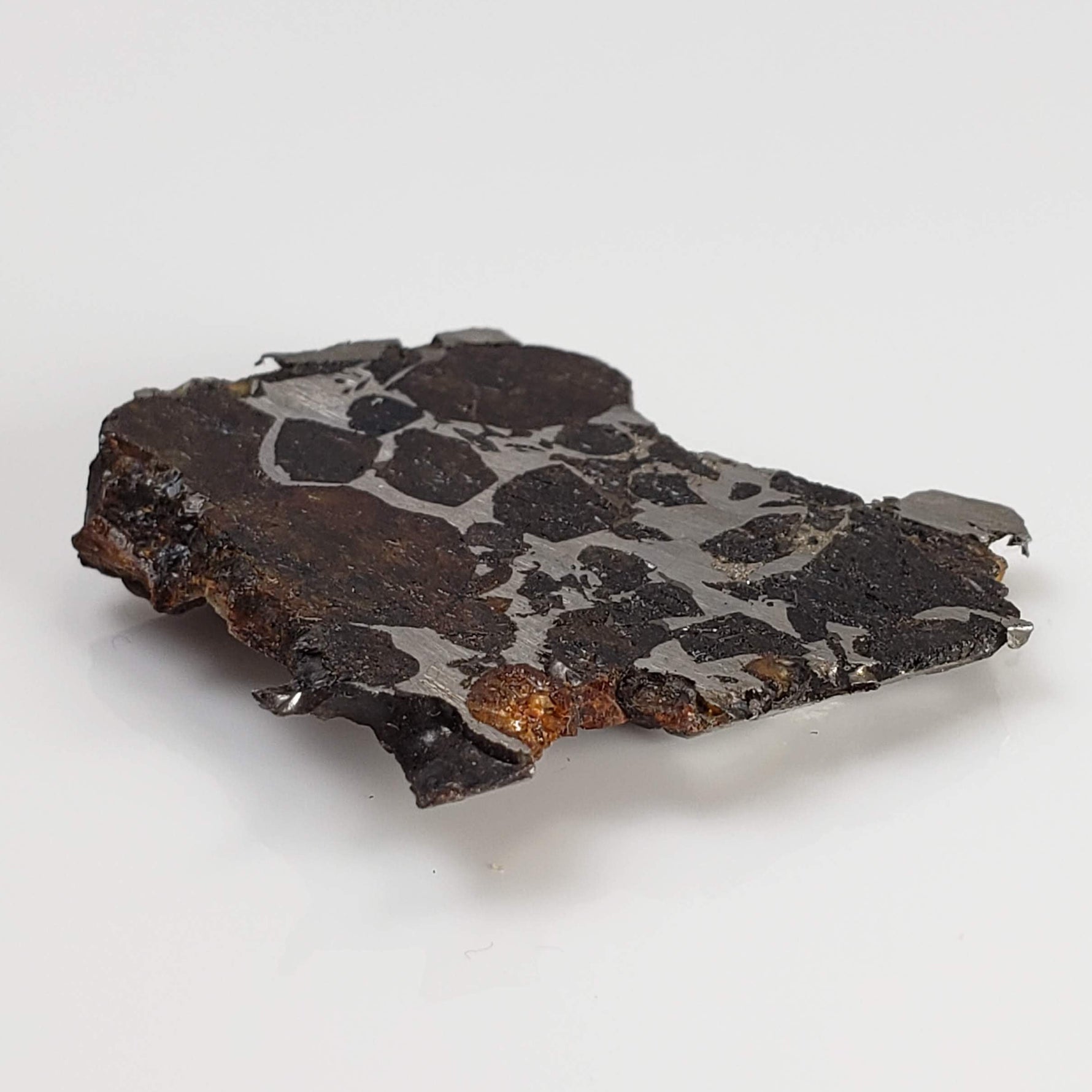  Brahin Meteorite | 7.5 Grams | Part End Cut | Pallasite Stony Iron | Rare | Belarus 5