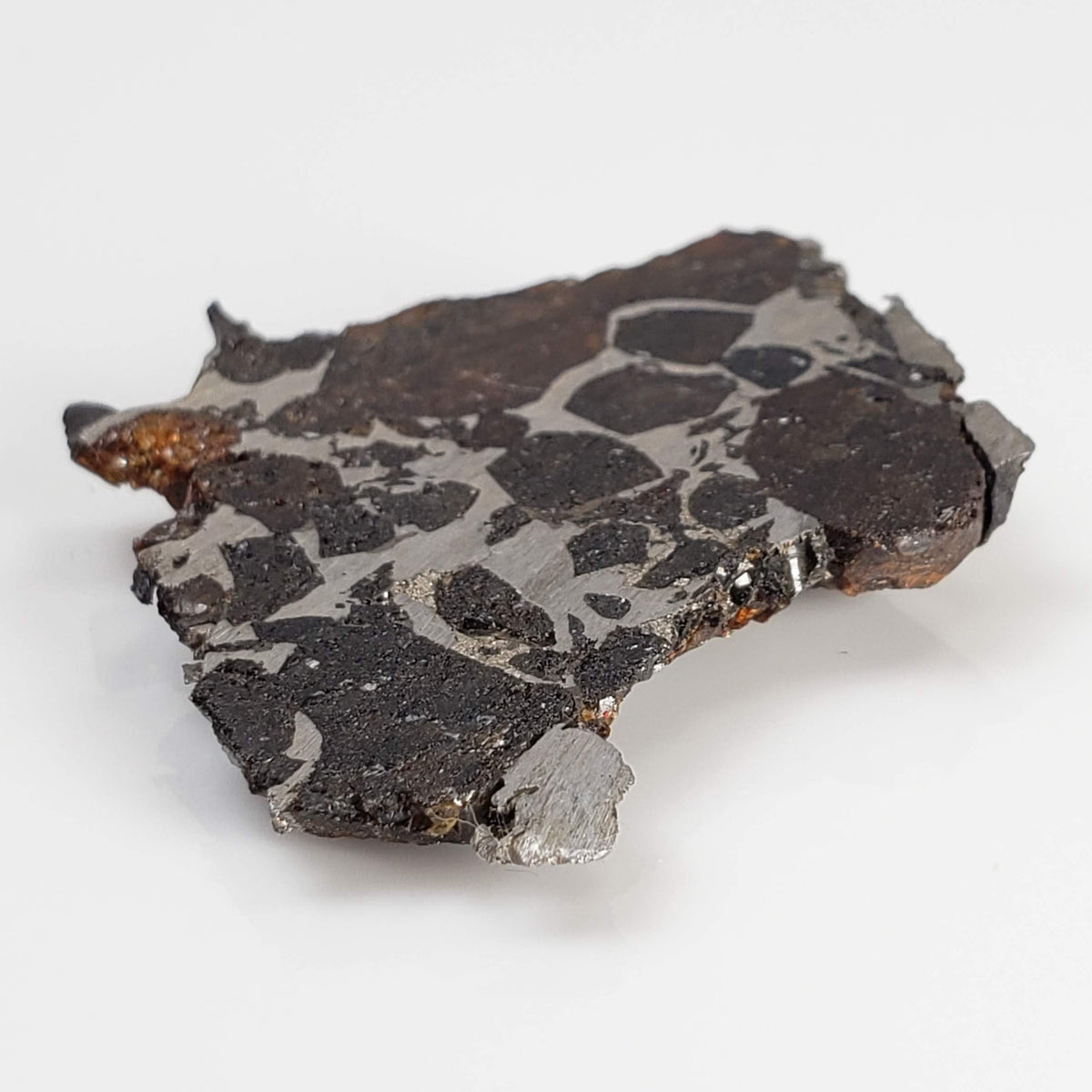 Brahin Meteorite | 7.5 Grams | Part End Cut | Pallasite Stony Iron | Rare | Belarus 6