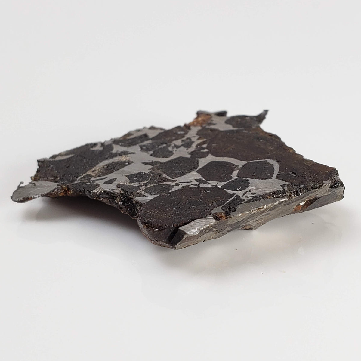  Brahin Meteorite | 7.5 Grams | Part End Cut | Pallasite Stony Iron | Rare | Belarus 7