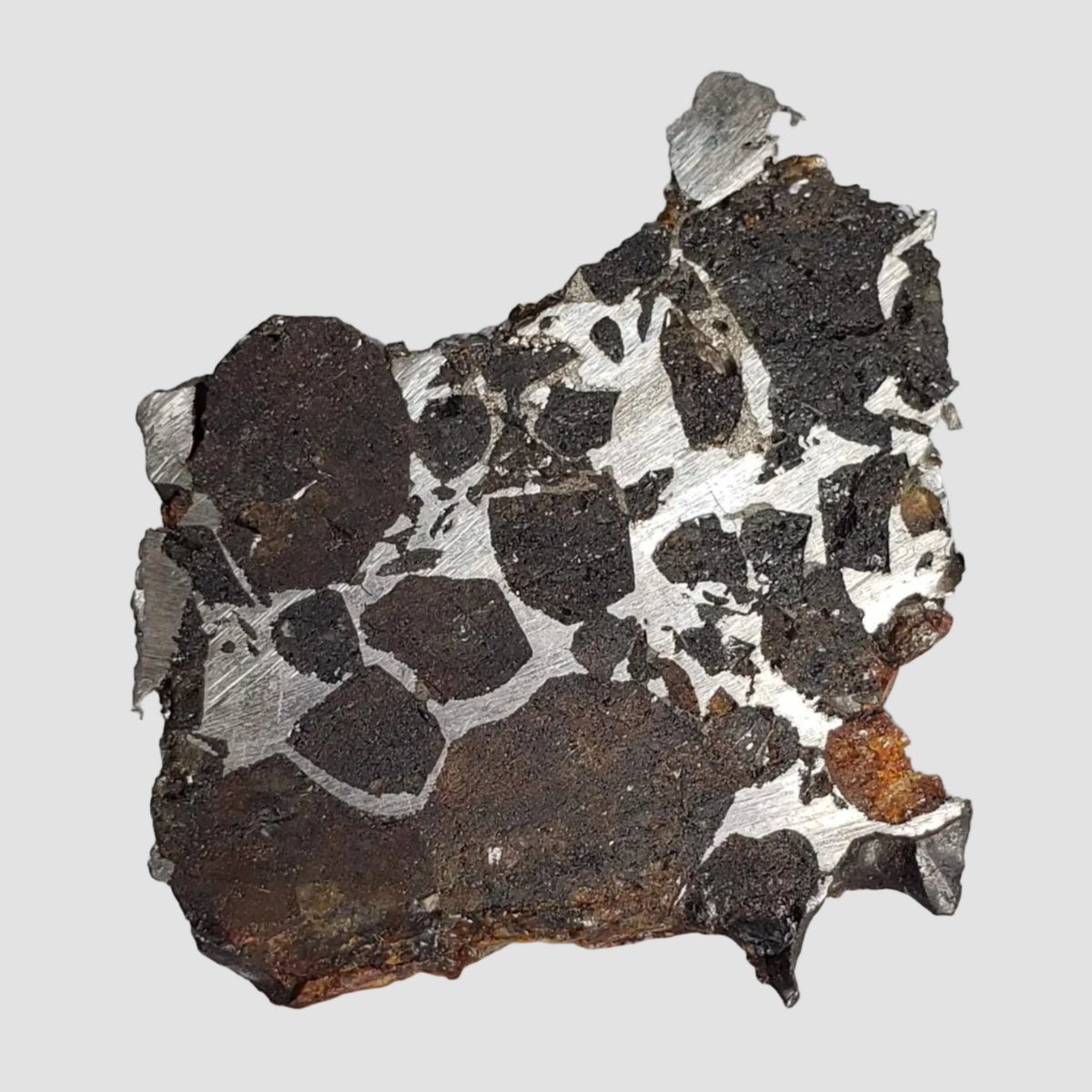  Brahin Meteorite | 7.5 Grams | Part End Cut | Pallasite Stony Iron | Rare | Belarus 3