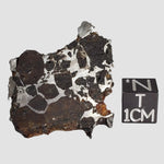  Brahin Meteorite | 7.5 Grams | Part End Cut | Pallasite Stony Iron | Rare | Belarus 