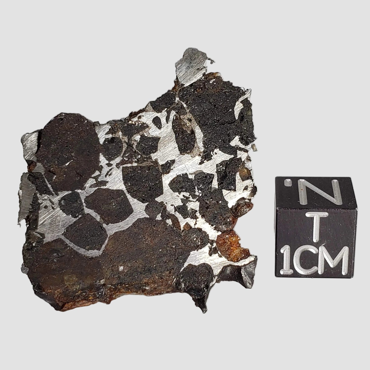  Brahin Meteorite | 7.5 Grams | Part End Cut | Pallasite Stony Iron | Rare | Belarus 