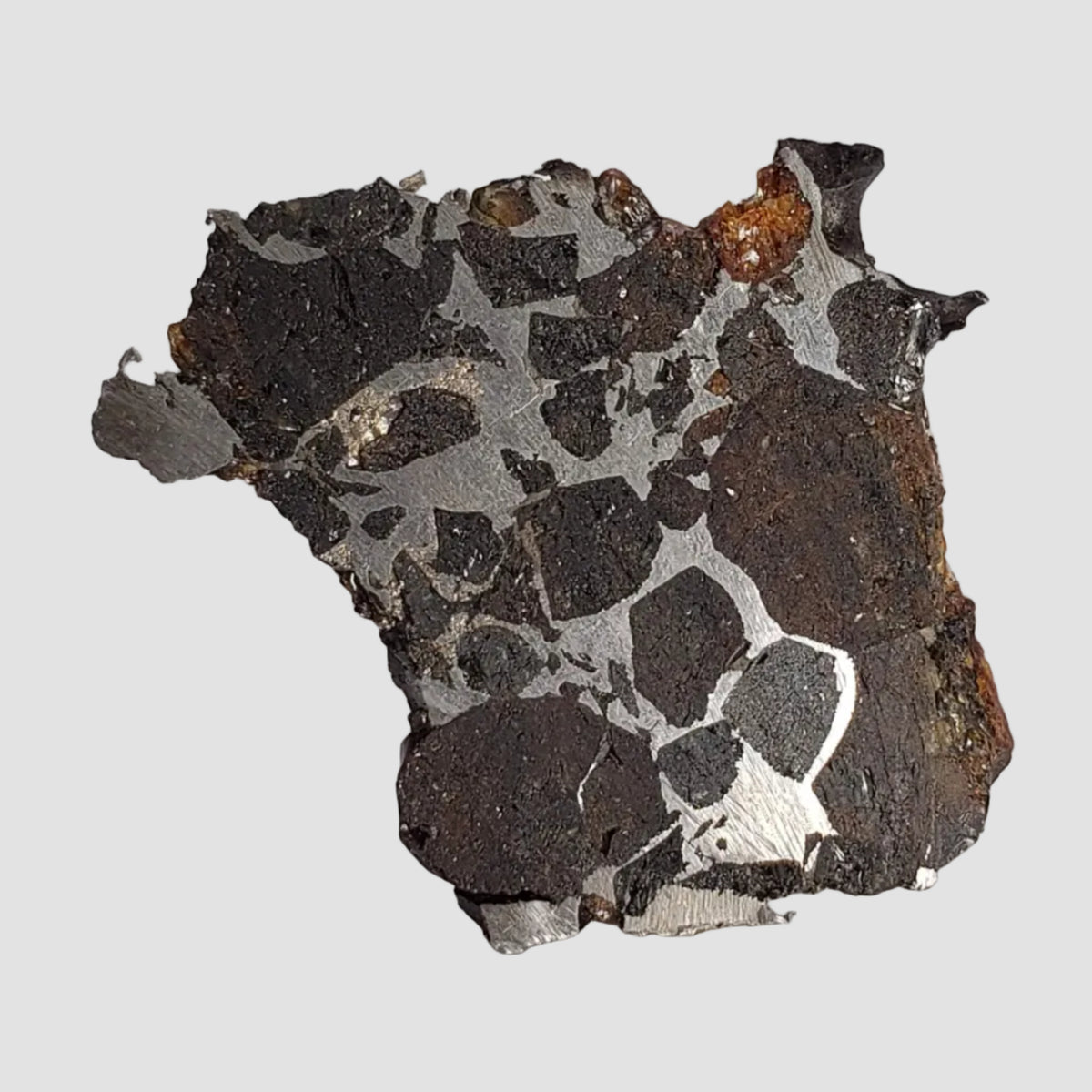  Brahin Meteorite | 7.5 Grams | Part End Cut | Pallasite Stony Iron | Rare | Belarus 2