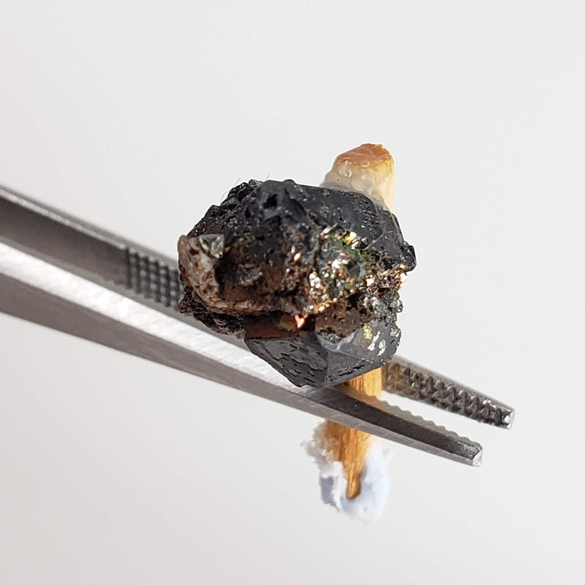  Brookite Crystal | Natural Arkansite | Perky Box Thumbnail Specimen | Magnet Cove, Arkansas, USA 2