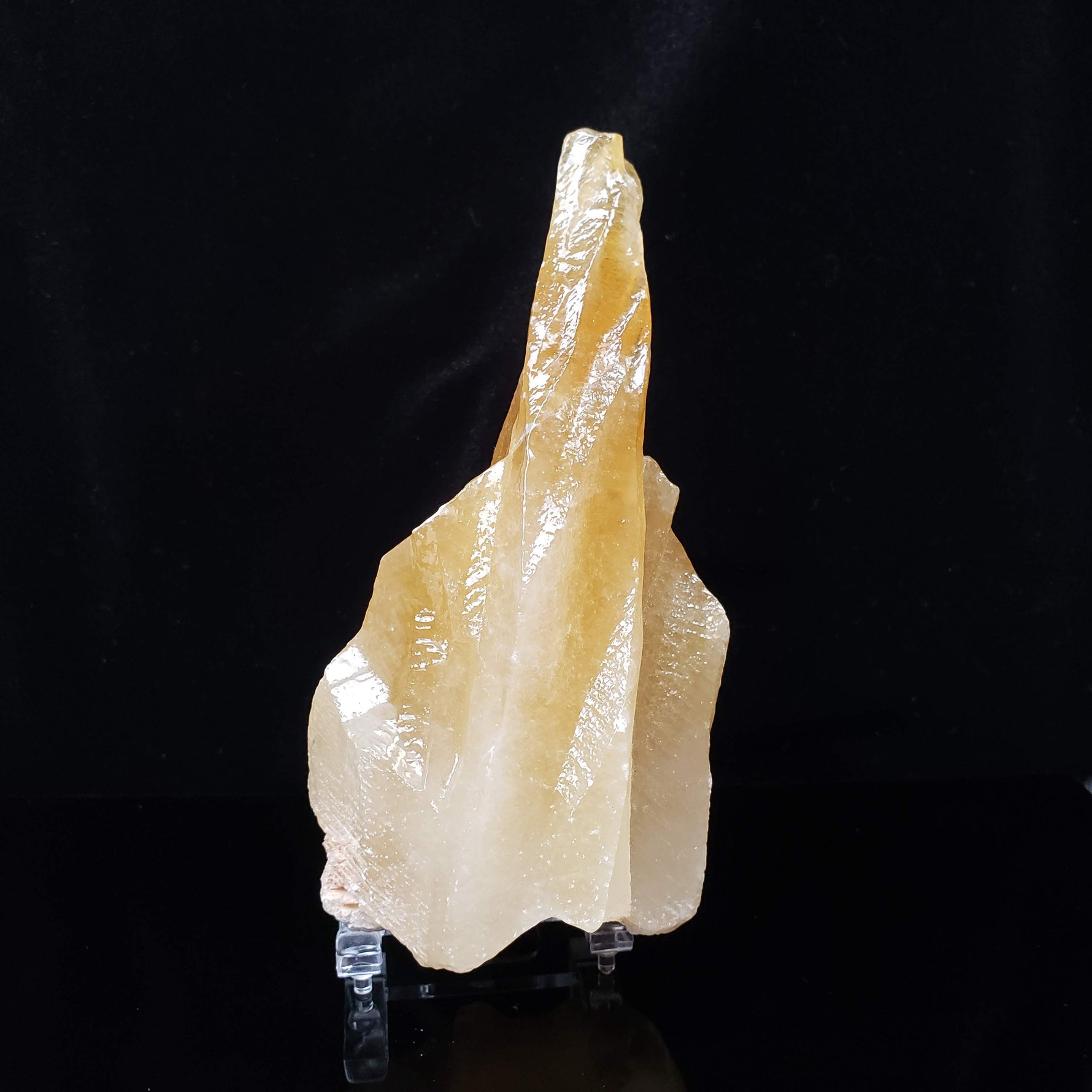  Calcite Crystal Spray | Amber Golden | 395 grams | Mexico 