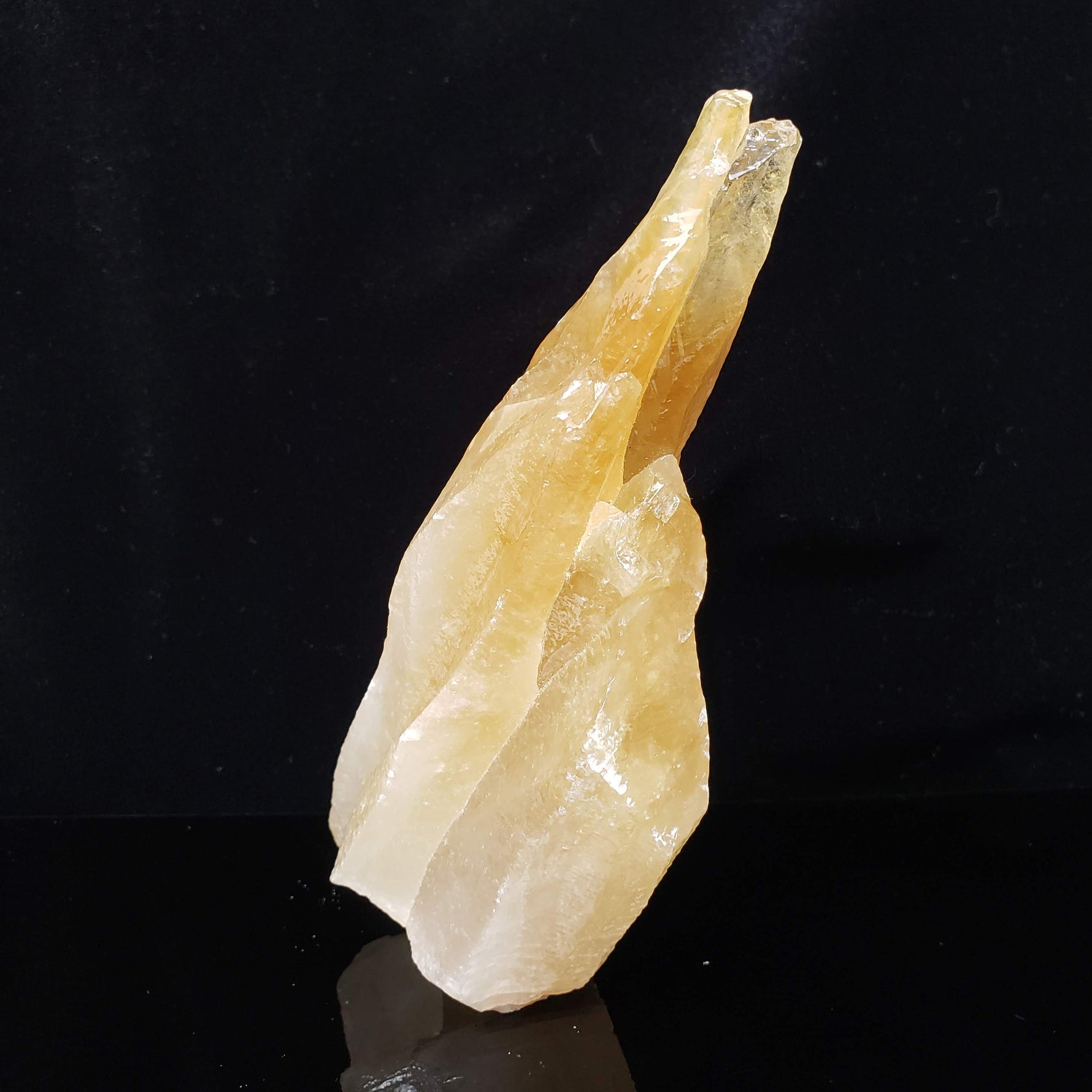  Calcite Crystal Spray | Amber Golden | 395 grams | Mexico 4