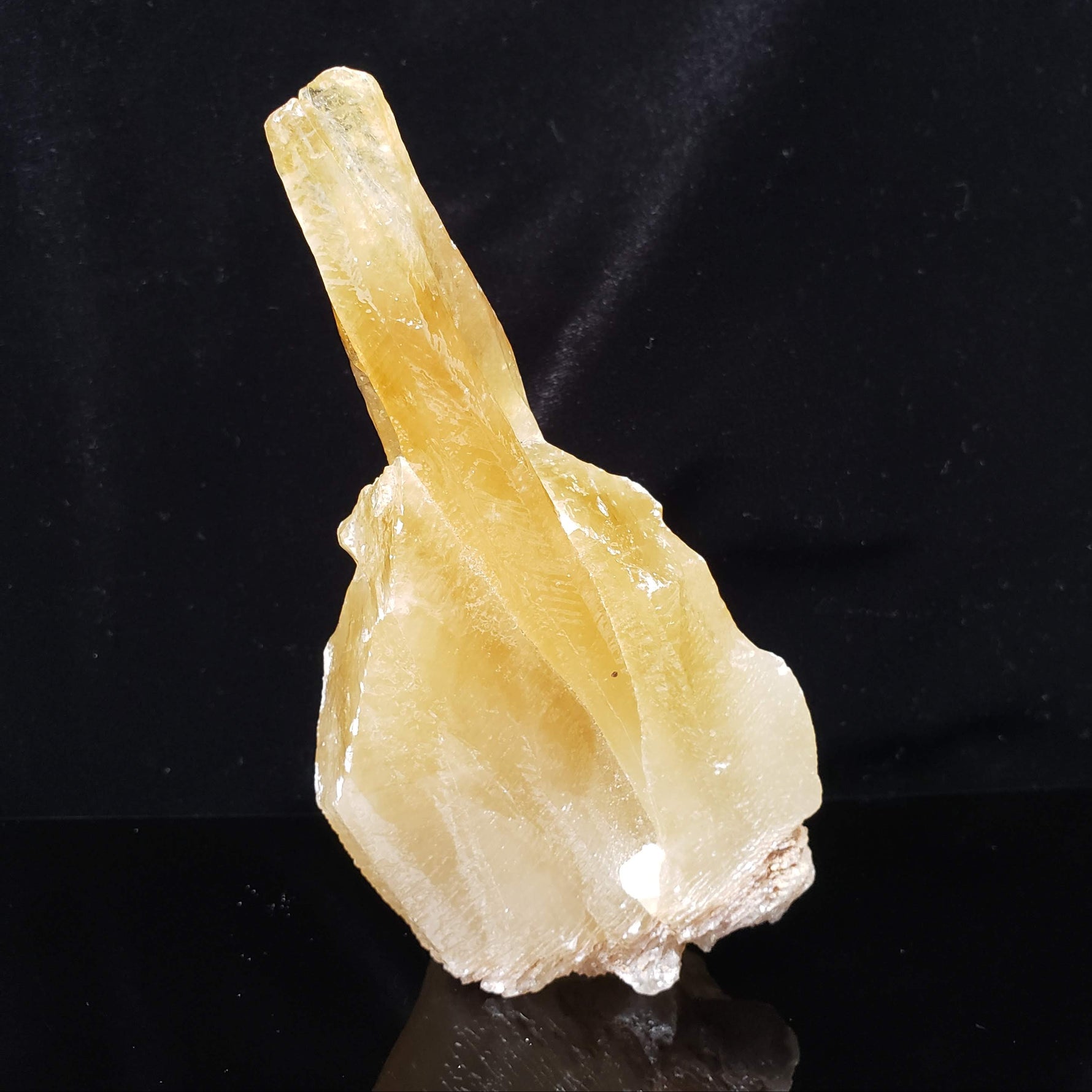  Calcite Crystal Spray | Amber Golden | 395 grams | Mexico 3