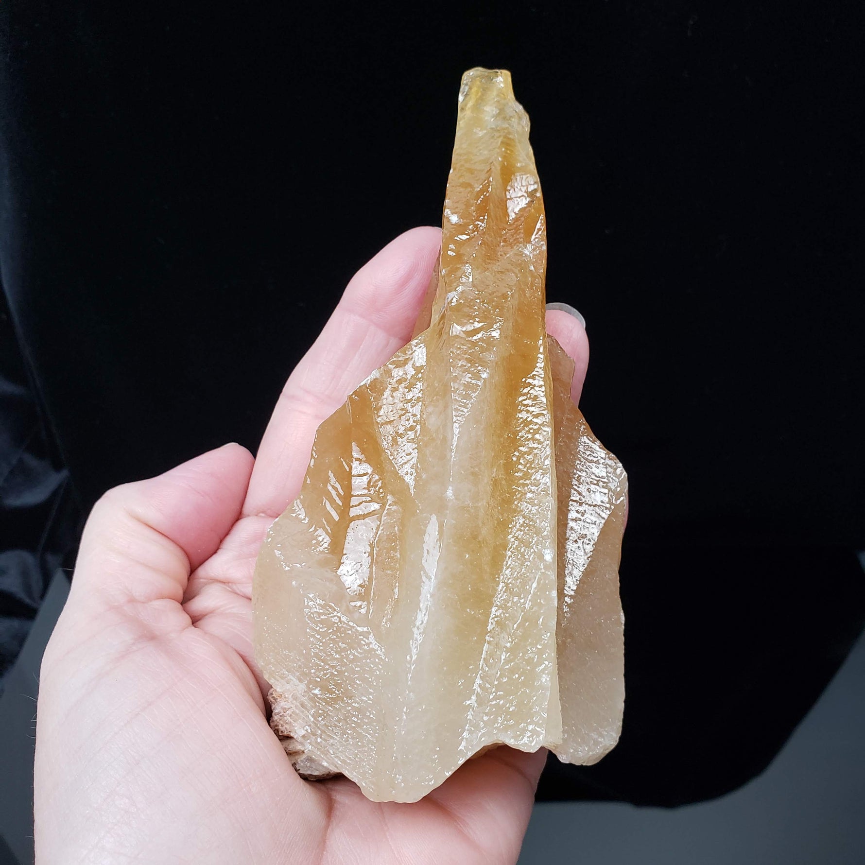  Calcite Crystal Spray | Amber Golden | 395 grams | Mexico 7