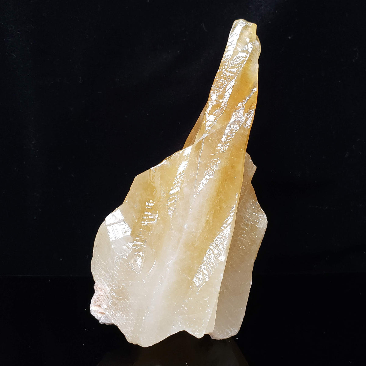  Calcite Crystal Spray | Amber Golden | 395 grams | Mexico 2