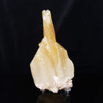  Calcite Crystal Spray | Amber Golden | 395 grams | Mexico 1