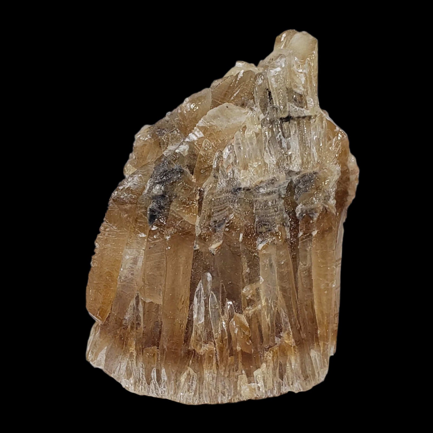  Calcite Crystal Spray | Amber Golden | 424 grams | Mexico 
