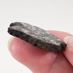  Campo del Cielo Meteorite | 16.9 Grams | Premium Silicated Slice | Iron IAB-MG | Argentina 6